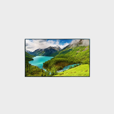 High Brightness 49 inch LCD Display 1920*1080 LVDS 2500nits for Wide Temperature Range