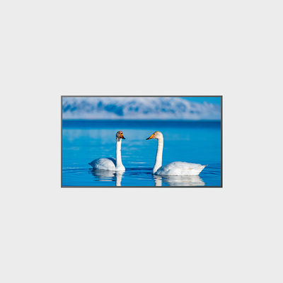 65 Inch High Brightness LCD Panel 1920*1080 2000nits LCMA-RX0650GB08-Z200