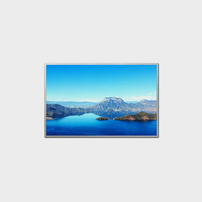 10.1 inch High Brirghtness LCD Display 1280*800 LVDS 1000nits