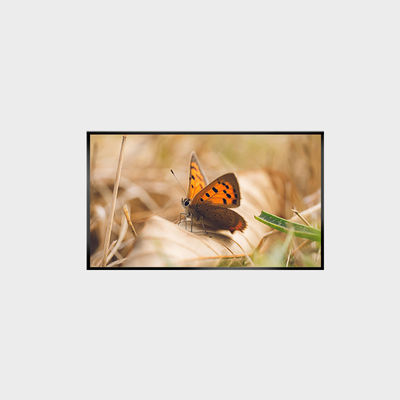 43 Inch LCD Panel 2000nits 1920*1080 LCMA-RX0430GL13-Z200