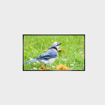 43-inch High Brightness LCD Screen LCMA-RX0430GB07-Z250 with 1920*1080 Resolution and Brightness of 2500nits